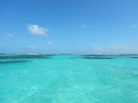 Revet ved Tobago cays