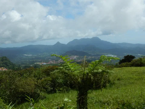 Mount Pelee set fra afstand