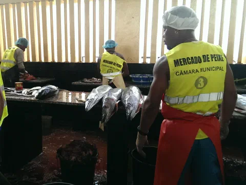 Fiskemarked i Mindelo