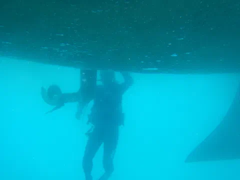 Skipper skubber bunden