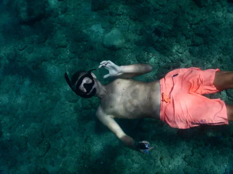 Snorkling ved The Caves – Norman Island