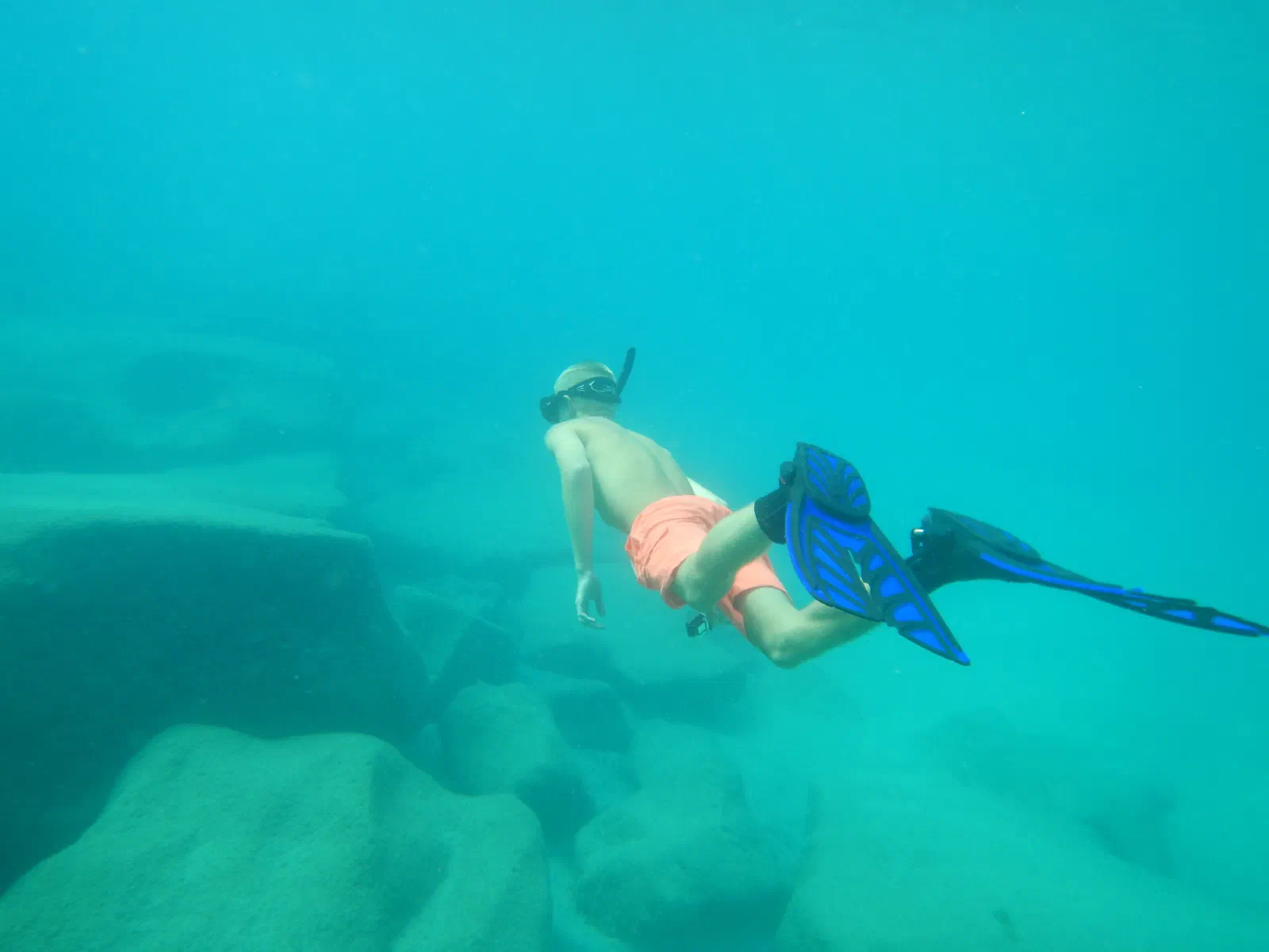 Snorkling ved Papagaya