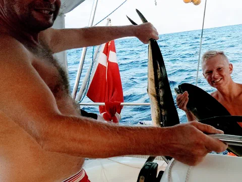 Så var der to stk Dolhim fisk på samme tid.