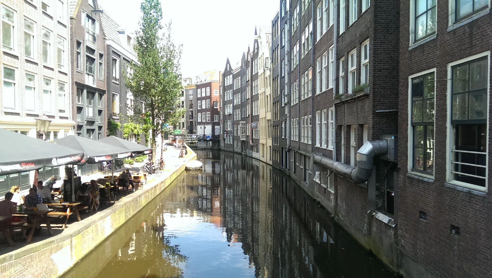 IMAG2442